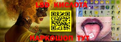 крисы Аргун