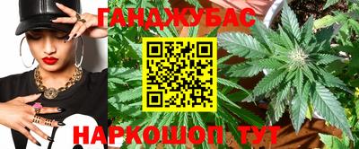 крисы Аргун